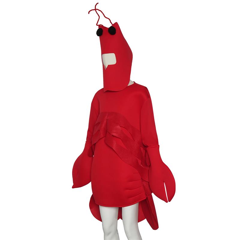Halloween Party Costume Perfor - Ethnic Wear ulasan dan harga